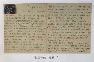 p4.4.20