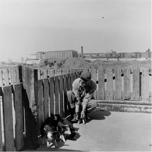 p9.29.33