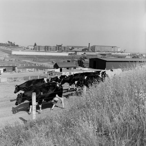 p9.29.36